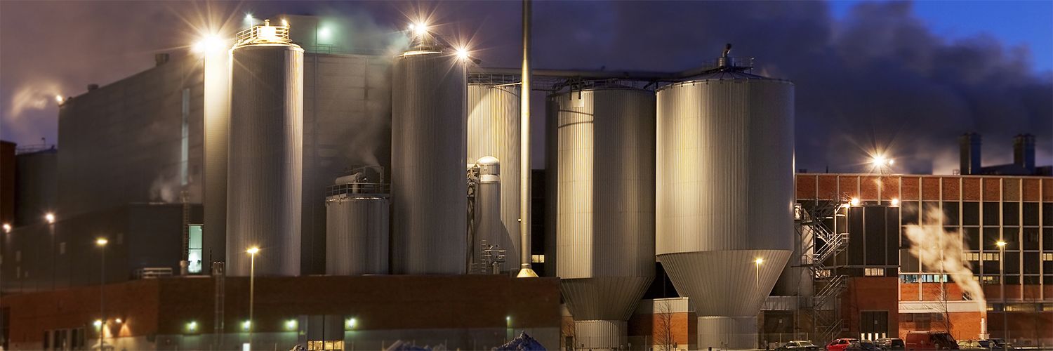 Pulp and paper Pulp and paper